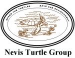 NevisTurtleGroupLogo-web